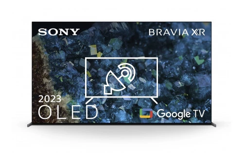 Search for channels on Sony FWD-83A80L