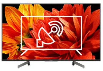 Search for channels on Sony KD-43XG8399