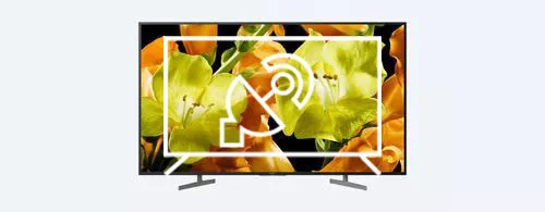 Search for channels on Sony KD-49XG8196