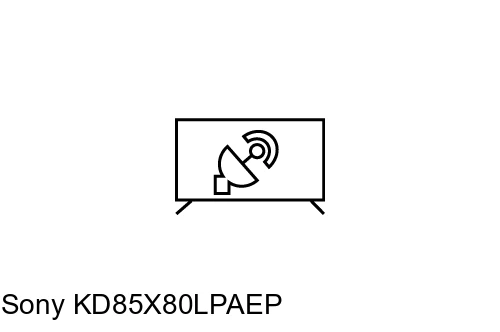 Search for channels on Sony KD85X80LPAEP
