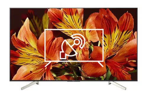 Search for channels on Sony XBR65X850F