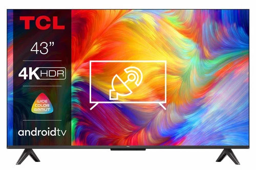 Search for channels on TCL 43P735K