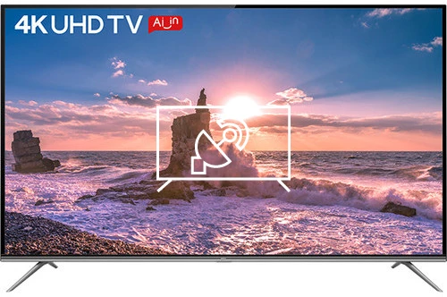 Rechercher des chaînes sur TCL 50" 4K UHD Smart TV