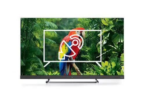 Search for channels on TCL 55EC788