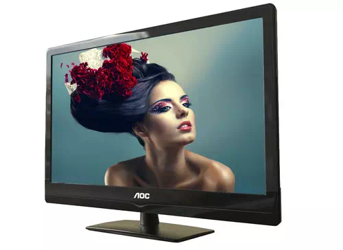 AOC LE19A1321 TV 47 cm (18.5") HD Noir