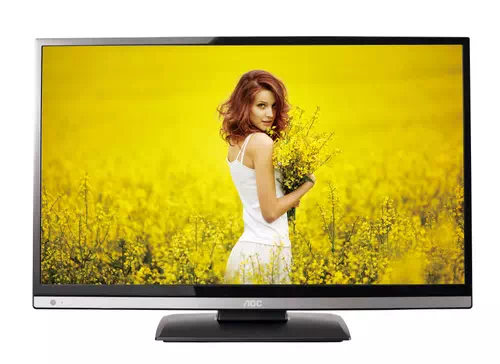 AOC LE32A0320 TV 80 cm (31.5") HD Gris