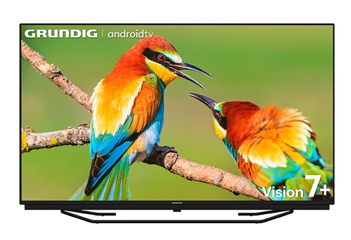 Grundig 65 GGU 7960B TV 165,1 cm (65") 4K Ultra HD Wifi Noir, Argent 0
