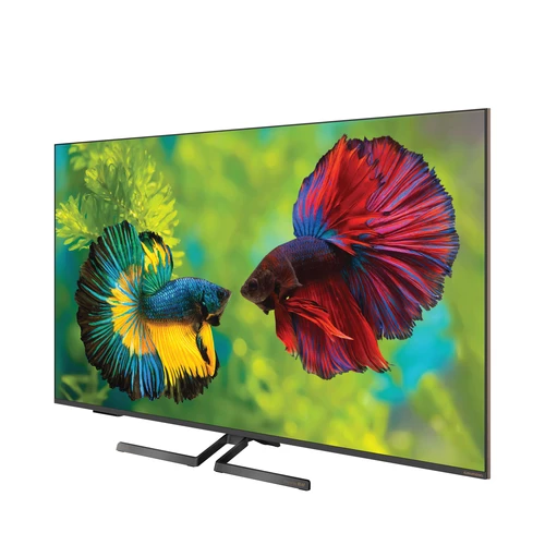 Questions and answers about the Grundig 55 GHQ 9500 55'' 139 EKRAN 4K UHD GOOGLE QLED TV