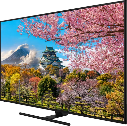 Hitachi U65KA6150 Televisor 165,1 cm (65") 4K Ultra HD Smart TV Wifi Negro 7