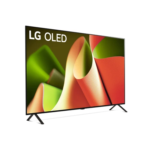 LG OLED B4 OLED65B42LA 165.1 cm (65") 4K Ultra HD Smart TV Wi-Fi Grey 9