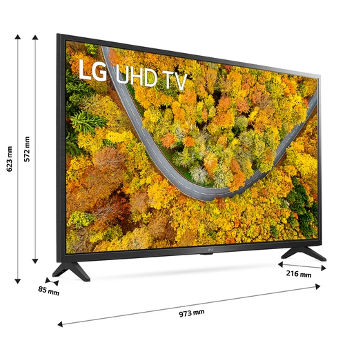 LG 43UP751C0ZF.AEK TV 109.2 cm (43") 4K Ultra HD Smart TV Wi-Fi Grey 11