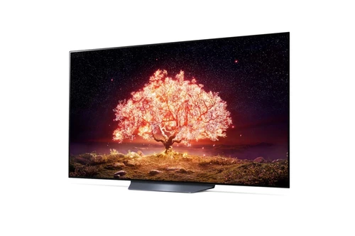 LG OLED65B13LA TV 165,1 cm (65") 4K Ultra HD Smart TV Wifi Noir, Gris 1