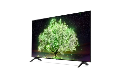 LG OLED48A13LA TV 121,9 cm (48") 4K Ultra HD Smart TV Wifi Noir 2