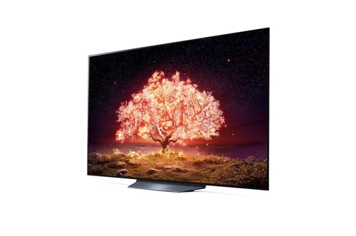 LG OLED65B13LA TV 165.1 cm (65") 4K Ultra HD Smart TV Wi-Fi Black, Grey 2