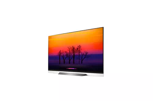 LG SIGNATURE OLED65E8PUA Televisor 165,1 cm (65") 4K Ultra HD Smart TV Wifi Gris 2