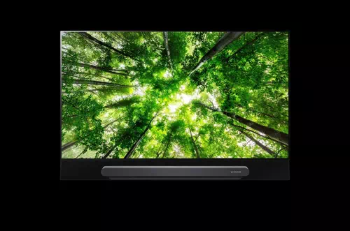 LG SIGNATURE OLED65G8PLA TV 165,1 cm (65") 4K Ultra HD Smart TV Wifi Noir 2