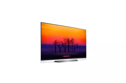 LG SIGNATURE OLED65E8PUA TV 165,1 cm (65") 4K Ultra HD Smart TV Wifi Gris 3
