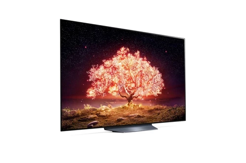 LG OLED65B13LA Televisor 165,1 cm (65") 4K Ultra HD Smart TV Wifi Negro, Gris 4
