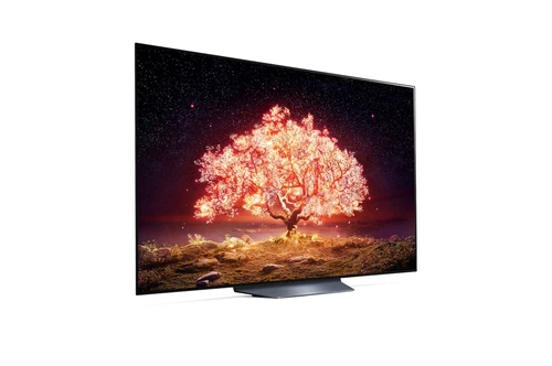 LG OLED65B16LA 165.1 cm (65") 4K Ultra HD Smart TV Wi-Fi Blue 4
