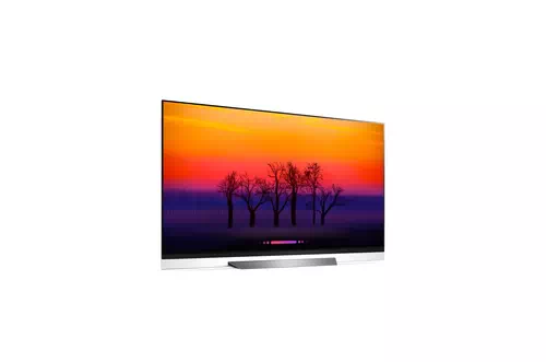 LG SIGNATURE OLED65E8PUA Televisor 165,1 cm (65") 4K Ultra HD Smart TV Wifi Gris 4