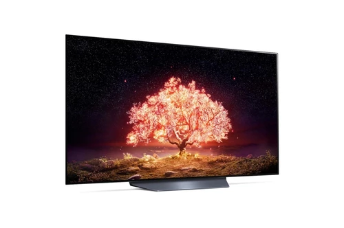 LG OLED55B13LA TV 139.7 cm (55") 4K Ultra HD Smart TV Wi-Fi Black, Grey 5