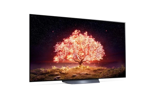 LG OLED65B13LA TV 165,1 cm (65") 4K Ultra HD Smart TV Wifi Noir, Gris 5