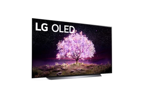 LG OLED65C1PUB TV 165.1 cm (65") 4K Ultra HD Smart TV Wi-Fi Grey 5
