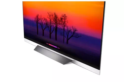 LG SIGNATURE OLED65E8PUA TV 165,1 cm (65") 4K Ultra HD Smart TV Wifi Gris 5