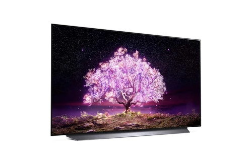 LG OLED48C14LB TV 121,9 cm (48") 4K Ultra HD Smart TV Wifi Noir, Titane 7