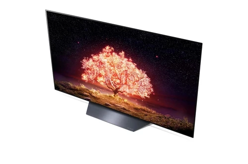 LG OLED55B13LA TV 139.7 cm (55") 4K Ultra HD Smart TV Wi-Fi Black, Grey 7