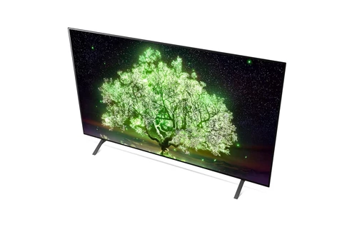 LG OLED65A19LA.AVS TV 165.1 cm (65") 4K Ultra HD Smart TV Wi-Fi Grey 7