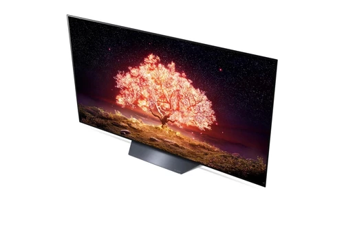 LG OLED65B13LA TV 165.1 cm (65") 4K Ultra HD Smart TV Wi-Fi Black, Grey 7