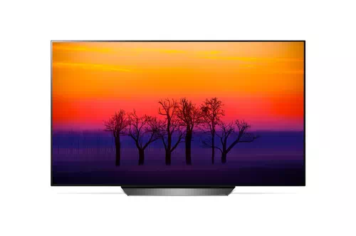 LG OLED65B8LLA TV 165.1 cm (65") 4K Ultra HD Smart TV Wi-Fi Black, Silver