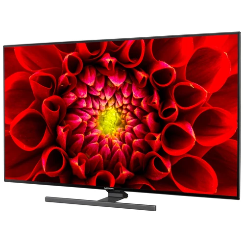 MEDION LIFE S14305 Smart-TV, 108 cm (43 pouces), Ultra HD Display, HDR, Dolby Vision, Micro Dimming, MEMC, PVR ready, Netflix, Amazon Prime Video, Blu 0