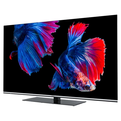 MEDION LIFE X15564 OLED Smart-TV, 138,8 cm (55 pouces) Ultra HD Display, HDR, Dolby Vision, Dolby Atmos, Micro Dimming, MEMC, 100 Hz, PVR ready, Netfl 9
