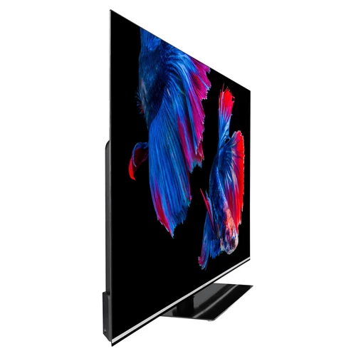 MEDION LIFE X16523 OLED Smart-TV | 163,9 cm (65 pouces) Ultra HD Display | HDR | Dolby Vision | Dolby Atmos | Micro Dimming | MEMC | 100 Hz | PVR read 9