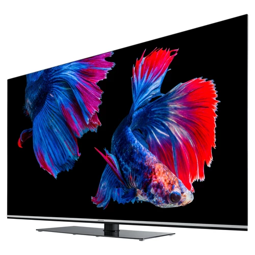 MEDION LIFE X15564 OLED Smart-TV, 138,8 cm (55 pouces) Ultra HD Display, HDR, Dolby Vision, Dolby Atmos, Micro Dimming, MEMC, 100 Hz, PVR ready, Netfl 10