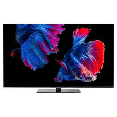 MEDION LIFE X16523 OLED Smart-TV | 163,9 cm (65 pouces) Ultra HD Display | HDR | Dolby Vision | Dolby Atmos | Micro Dimming | MEMC | 100 Hz | PVR read 12