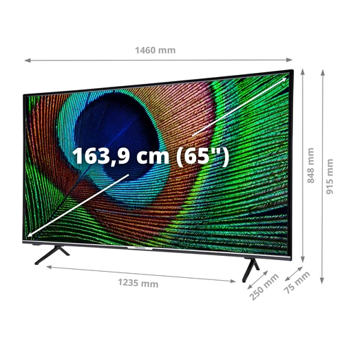 MEDION LIFE X16526 165.1 cm (65") 4K Ultra HD Smart TV Wi-Fi Black 12