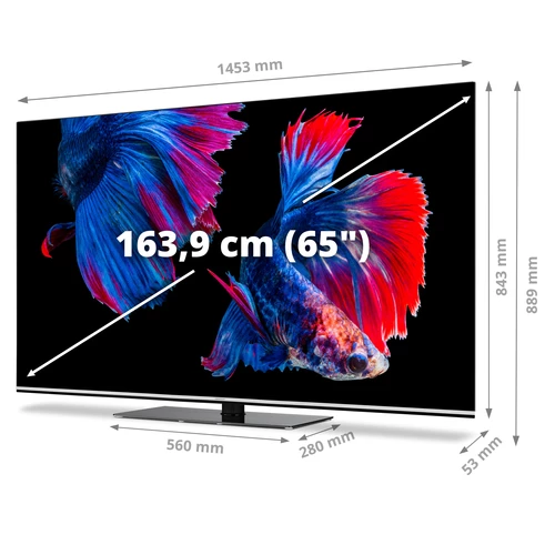 MEDION LIFE X16523 OLED Smart-TV | 163,9 cm (65 pouces) Ultra HD Display | HDR | Dolby Vision | Dolby Atmos | Micro Dimming | MEMC | 100 Hz | PVR read 13