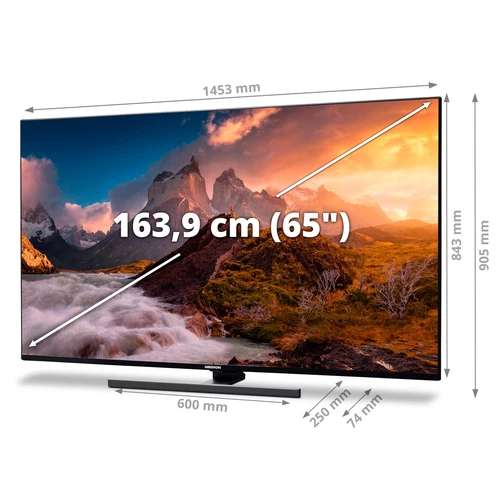 MEDION LIFE X16596 165,1 cm (65") 4K Ultra HD Smart TV Wifi Negro 14