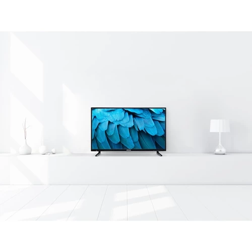 MEDION E14080 - LCD TV - 40" (100,3 cm) - Full HD - HD Triple Tuner - lecteur DVD intégré - lecteur multimédia intégré - CI+ - Noir 1