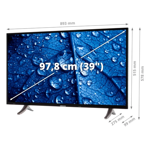 MEDION LIFE P13911 Smart TV | 39 pouces | Ecran HD | Son DTS | Prêt pour PVR | Bluetooth | Netflix | Amazon Prime Video 1