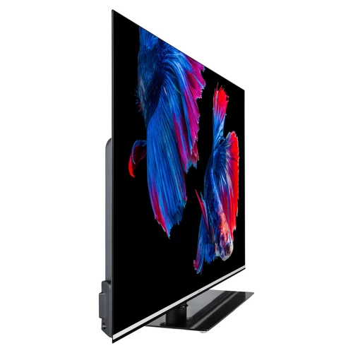 MEDION LIFE X15564 OLED Smart-TV, 138,8 cm (55 pouces) Ultra HD Display, HDR, Dolby Vision, Dolby Atmos, Micro Dimming, MEMC, 100 Hz, PVR ready, Netfl 1