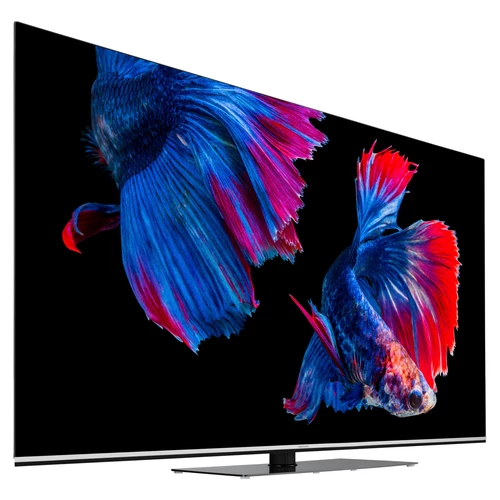 MEDION LIFE X16523 OLED Smart-TV | 163,9 cm (65 pouces) Ultra HD Display | HDR | Dolby Vision | Dolby Atmos | Micro Dimming | MEMC | 100 Hz | PVR read 1