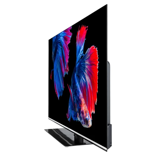 MEDION LIFE X15564 OLED Smart-TV, 138,8 cm (55 pouces) Ultra HD Display, HDR, Dolby Vision, Dolby Atmos, Micro Dimming, MEMC, 100 Hz, PVR ready, Netfl 2