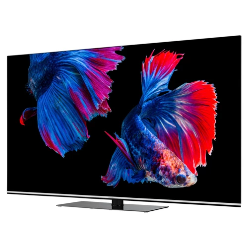 MEDION LIFE X16523 OLED Smart-TV | 163,9 cm (65 pouces) Ultra HD Display | HDR | Dolby Vision | Dolby Atmos | Micro Dimming | MEMC | 100 Hz | PVR read 5