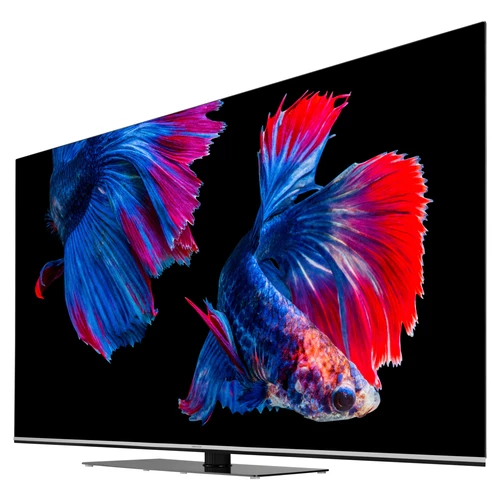 MEDION LIFE X16523 OLED Smart-TV | 163,9 cm (65 pouces) Ultra HD Display | HDR | Dolby Vision | Dolby Atmos | Micro Dimming | MEMC | 100 Hz | PVR read 6
