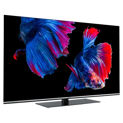 MEDION LIFE X15564 OLED Smart-TV, 138,8 cm (55 pouces) Ultra HD Display, HDR, Dolby Vision, Dolby Atmos, Micro Dimming, MEMC, 100 Hz, PVR ready, Netfl 7