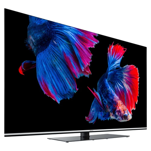 MEDION LIFE X15564 OLED Smart-TV, 138,8 cm (55 pouces) Ultra HD Display, HDR, Dolby Vision, Dolby Atmos, Micro Dimming, MEMC, 100 Hz, PVR ready, Netfl 8